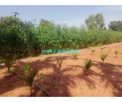 2.29 Acres Arecanut plantation for sale at Hulithotlu