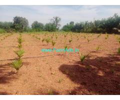 2.29 Acres Arecanut plantation for sale at Hulithotlu