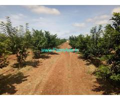 83 acres farm land for Sale near Somalapuram
