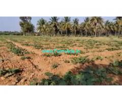 4 Acres Farm Land For Sale In Malavalli