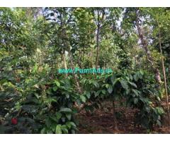 7 acre coffee and cardamom plantation for sale in Mudigere