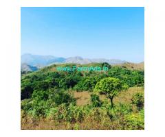 30 acre neglected Cardamom plantation for sale in Chikmagalur