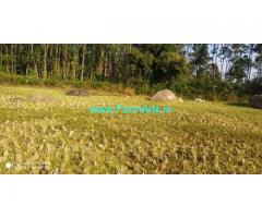 1.10 Acre Paddy field for sale in Chikmagalur