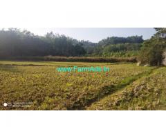 1.10 Acre Paddy field for sale in Chikmagalur