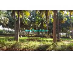 5 Acres 24 Gunta Coconut Farm Land For Sale In Mysuru
