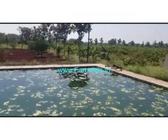 6 Acres Agriculture Land For Sale In Malavalli