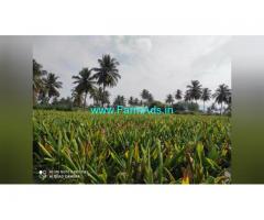 6.3 Acre Farm Land for Sale Near Mysore
