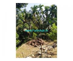 80 cents agriculture land for sale at Nerla