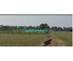 2 Acres 12 Gunta Farm Land For Sale In Hedathale