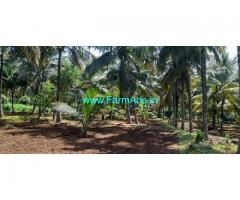 2 Acres Coconut Farm Sale Near By Govindapuram Trissur Road