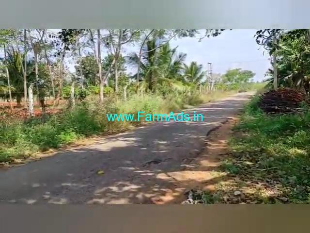 2.5 Acre Farm Land for Sale Near T Narasipura