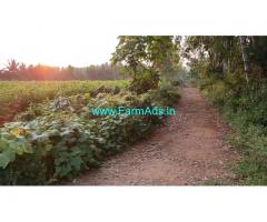 2 Acre Farm Land for Sale Near Kanakapura Road