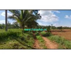 4 Acres 20 Gunta Farm Land For Sale In Narayanpura