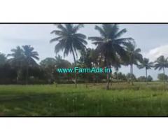 3 Acres 20 Gunta Agriculture Land For Sale In Kurahatti