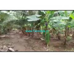 11 Acres 08 Gunta Farm Land For Sale In Maduvadi village