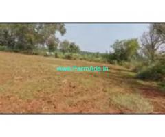 4 Acres 30 Gunta Agriculture Land For Sale In Hedathale