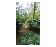 10 Acres Boundary Coffee estate for sale in Chikmagalur