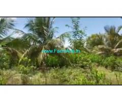4 Acres Agriculture Land For Sale In Malavalli