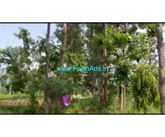 4 acres 02 Gunta Farm Land For Sale In Muthathi