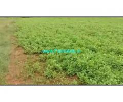 2 Acres Agriculture Land For Sale In Mudukuthore