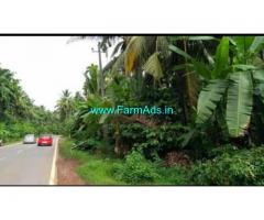 37 cents DC converted Farm land for Sale near Paladka