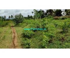 5.5 Acre Farm Land for Sale Near Mysore