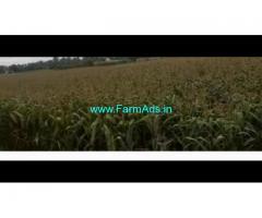 7.75 Acre Farm Land for Sale Near Mysore
