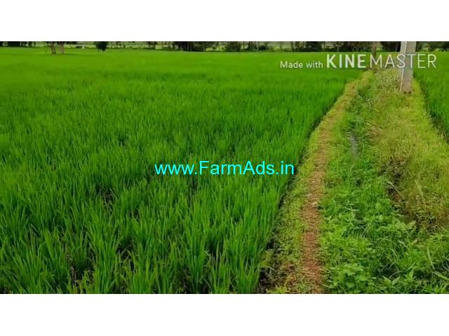 3 Acre Farm Land for Sale Near Mysore