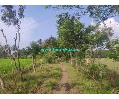 20 Acres Organic farm land with Farm House sale at Avanipur