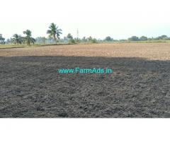 6 Acres Coconut Agriculture Land for Sale in Needamangalam