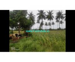 10 Acre Farm Land for Sale Near Mysore