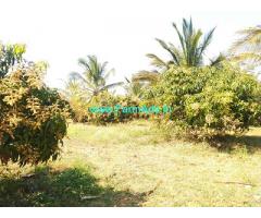 10 Acres Coconut farm for Sale near Tumkur