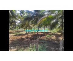 3 Acre Farm Land for Sale Near Kanakapura