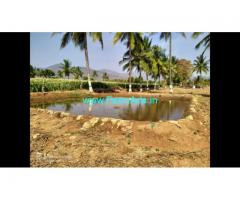 5 Acre Farm Land for Sale Near Hanur