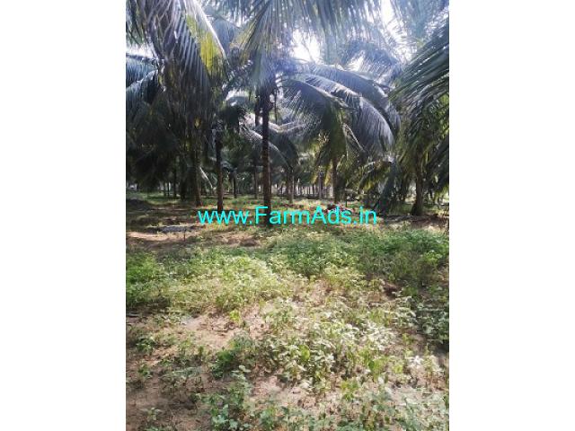 60 Acre Coconut Farm land in Anaimalai