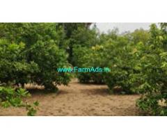 85 Cent Agriculture Land For Sale In Nallur