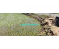 17 Acres Agriculture Land sale in Kadapakam