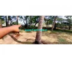 1.39 Acres Farm land with House Sale In Chennai