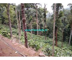 18 Acres of well maintained Robusta Estate Sale Chikmagalur