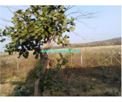 2 Acres Uncultivated Farm land for Sale near Kowdipally