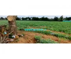 3.50 Acre Agriculture Land Sale In Kuvathur