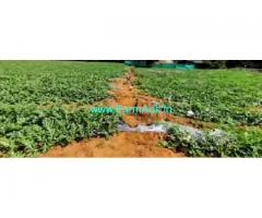 3.50 Acre Agriculture Land Sale In Kuvathur