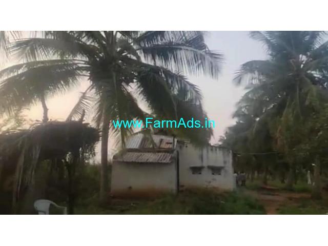 4.30 Acres Yielding coconut grove for sale at Maskal