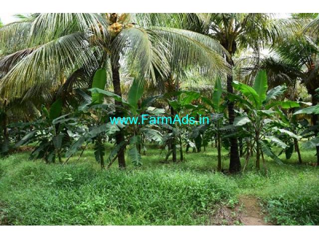 10.45 Acres Coconut Farm Sale At Aanamalai