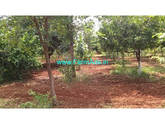 Farm Land for sale 12 Acres at Bhongir