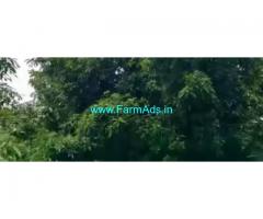 50 Cent Farm Land Sale In Chennai