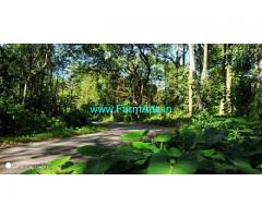3.03 Acres Coffee estate for sale in Chikmagalur