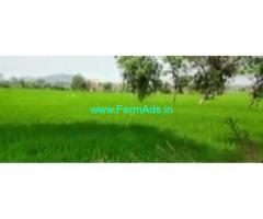5 Acres Agriculture Land  For Sale In Medak