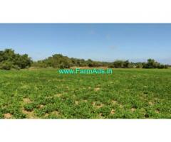 16.6 Acre Agriculture Land  For Sale In Edaikazhinadu