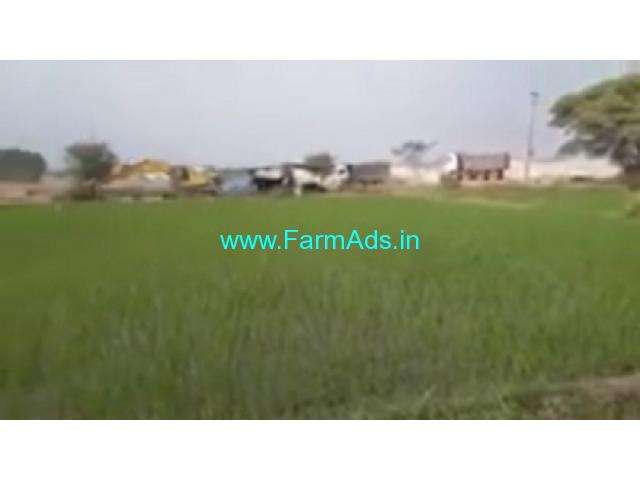 3 Acres Agriculture Land  For Sale In Rajapur Mandal